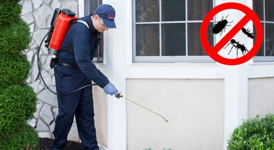 Şenpazar Kene İlaçlama böcek ilaçlama ve haşere kontrolü — ilaclama-tr.com